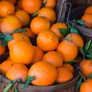 Navel Orange Fruit Tree Live Plant, Fruit Tree 2 To 3 Feet, Live Fruit Tree, Fruit Tree Live Plant Outdoor No Ship To CA