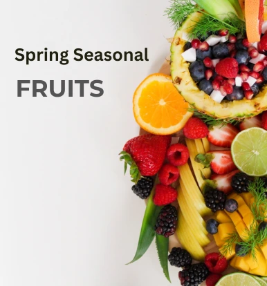 garden-tree-nursery-fruits-banner