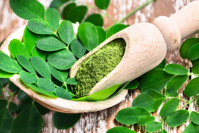 moringa powder