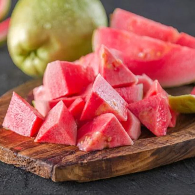 Pink Guava Trees Live Plant Set - 2 Guava Plants 5-9 Inches Tall