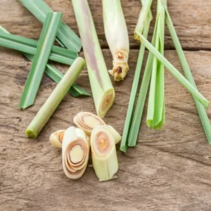 3 Lemongrass Live Plants - 5 to 9 Inches Tall - Perfect for Indoor or Outdoor