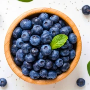 Blueberry Plants Live for Planting - Top Hat Blueberry Bushes 5-9 Inches