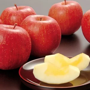 Honeycrisp Apple Tree Live Plant - 2 to 3 Feet - Red Apple Fruit Tree