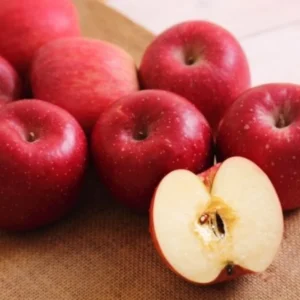 Pink Apple Tree Live Plant - 2 to 3 Feet Tall - Pink Apple Tree