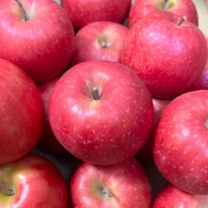 Apple Tree Live Plant - Pink Apple Tree 2-3 Feet Tall - Fresh Fruit