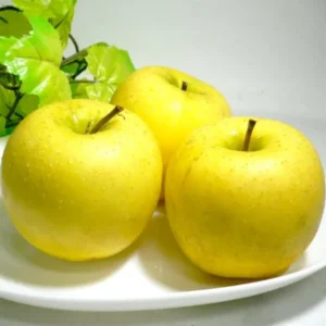 Apple Trees Live Plants - 2 to 3 Feet Tall Indoor Outdoor Garden Yellow Delicious