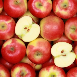 Apple Trees Live Plants - 3 to 4 Feet Tall Indoor Outdoor Trees