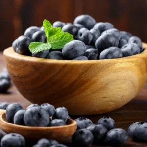 Top Hat Blueberry Plants - Live Shrubs for Indoor and Outdoor Gardens