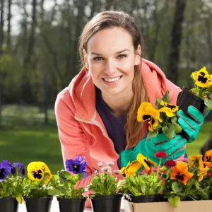 Pansy Plants Set - 6 Live Viola Perennial in 4in Pot - White Yellow Purple
