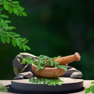 Live Moringa Plant - Pack of 2 Malunggay Plants - Drumstick Horseradish – Green Starter Plants