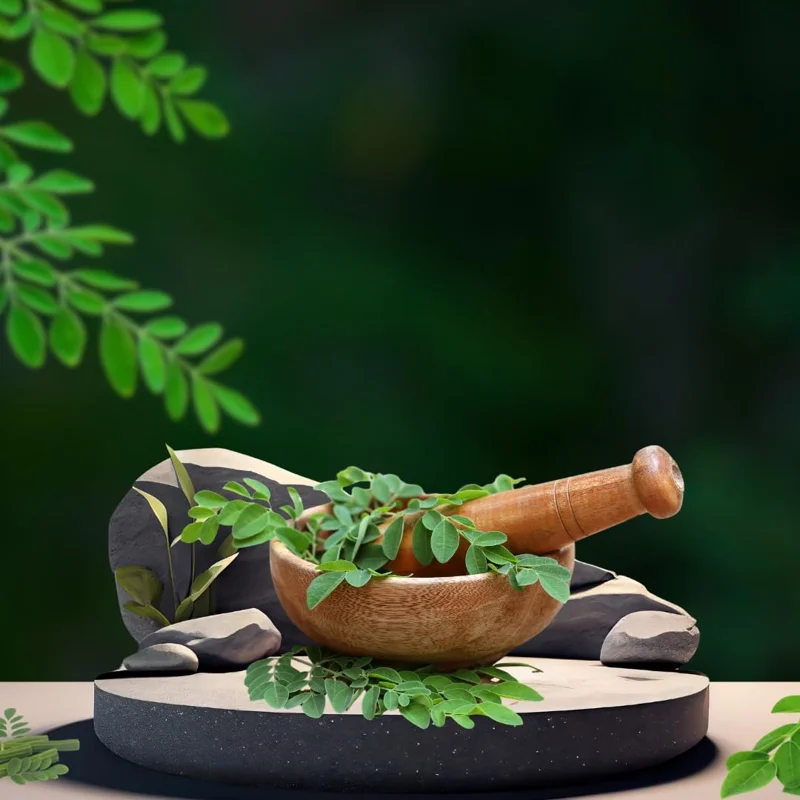 Live Moringa Plant - Pack of 2 Malunggay Plants - Drumstick Horseradish – Green Starter Plants