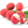 Lychee Plant Live Fruit Tree Seedling 7-12 Inch Tall in 4 Inch Pot