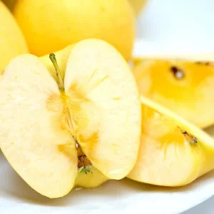 Apple Tree Live Plant - Bare Root Fruit Tree, 18-24 Inches - Garden Ready