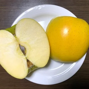 Apple Tree Plant - Yellow Delicious Live Plant 2-3 Ft Bare Root