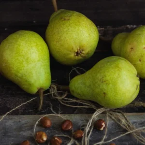 Green Pear Tree Live Plant - Bare Root Pear Fruit Tree - 12-18 Inches - Garden Ready