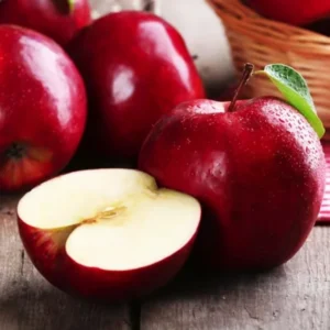 Red Apple Tree Live Plant - 12-24 Inch Bare Root Fruit Tree for Garden