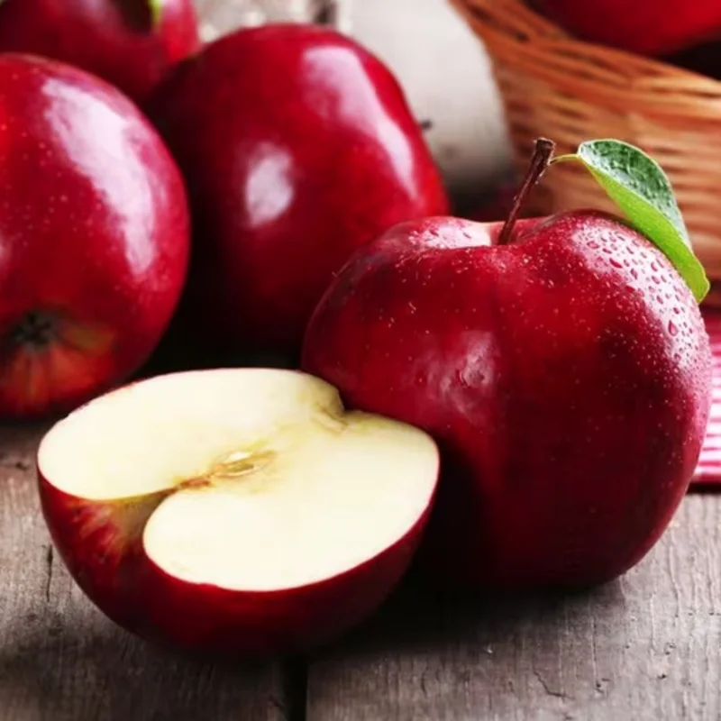 Red Apple Tree Live Plant - 12-24 Inch Bare Root Fruit Tree for Garden