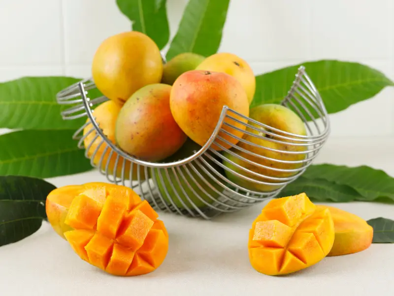 mango tree care, mango fruits