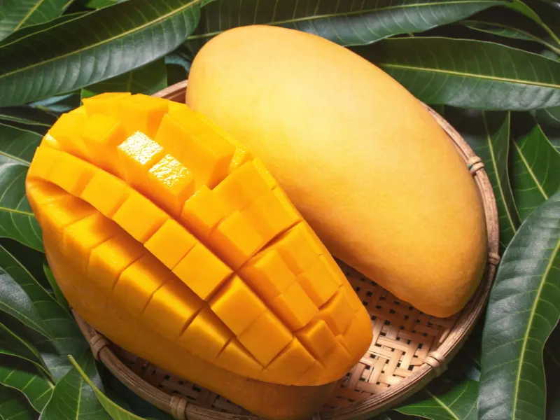 Nam Doc Mai Mango