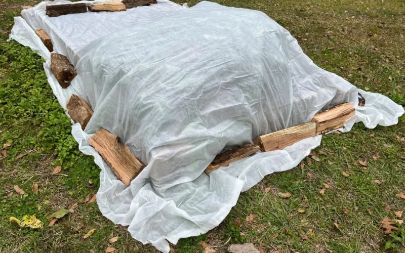 Light frost cloths are an affordable and effective way to shield sensitive plants from late frosts