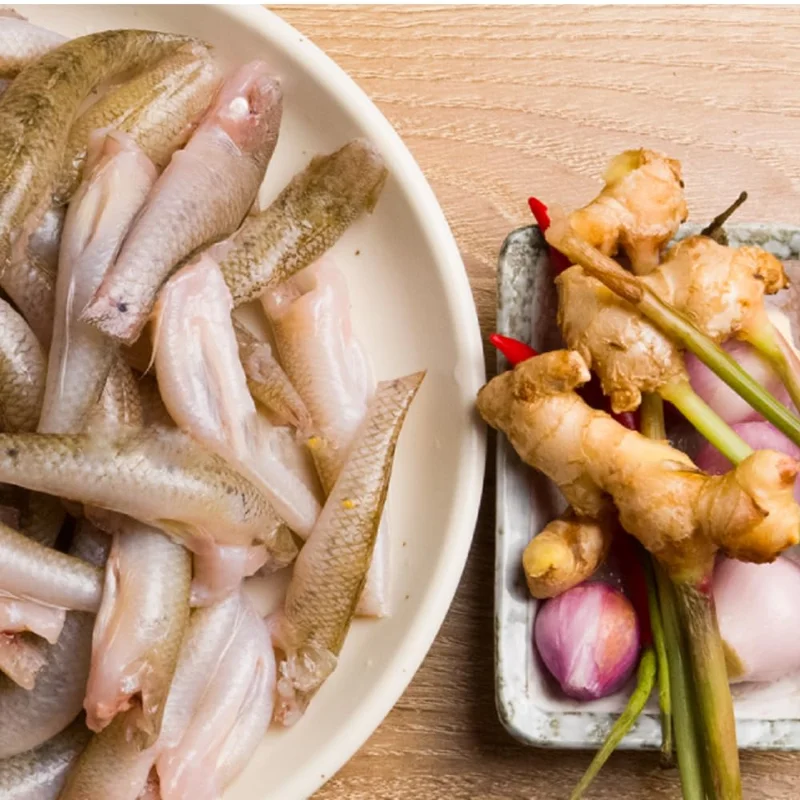 Galanga Thai Ginger Live Plants - 4 Starter Herb Plants - 5-6 Inch Tall