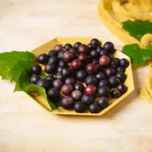 Muscadine Grape Vines - Sweet Fruit Vine for Outdoor Growing - 5-6 Inch Plant