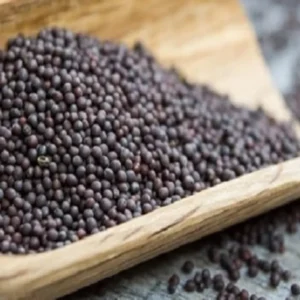 Callaloo Seeds - Spinach Amaranth Mix - 2500 Seeds - White, Red, Green Leaves - Home Garden