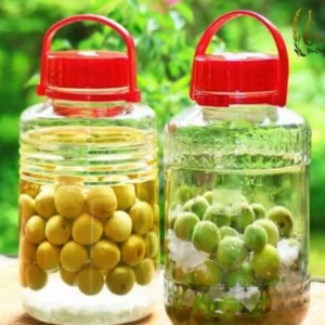 Apricot Trees Live Plant - 2 Bare Root Trees 1-2 ft - Home Garden Fresh Fruit