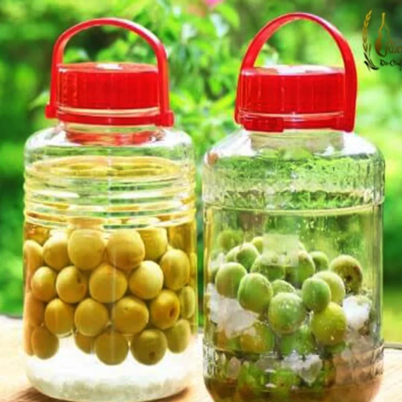 Apricot Trees Live Plant - 2 Bare Root Trees 1-2 ft - Home Garden Fresh Fruit