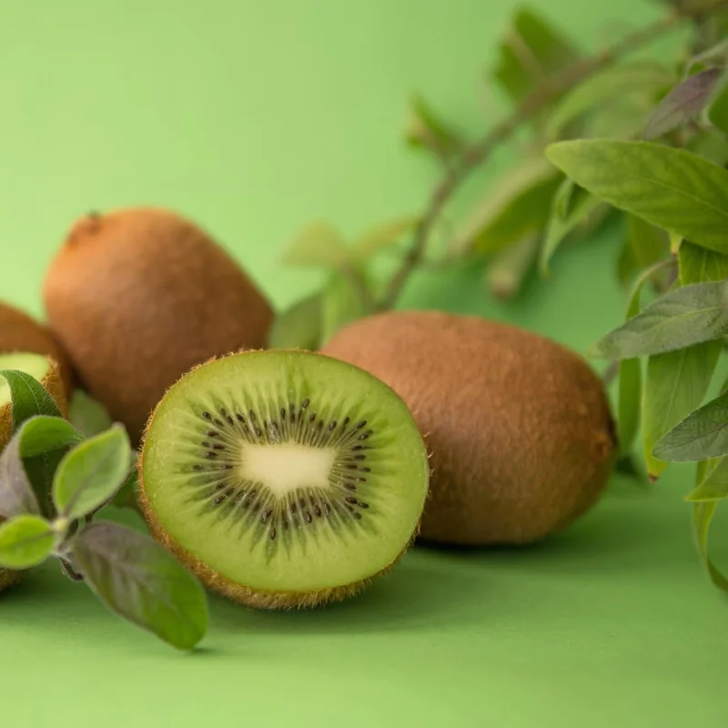 High-Yielding Kiwi Trees - 2 Live Plants - Starter Size 4-6 Inches - Sweet Hardy Vine