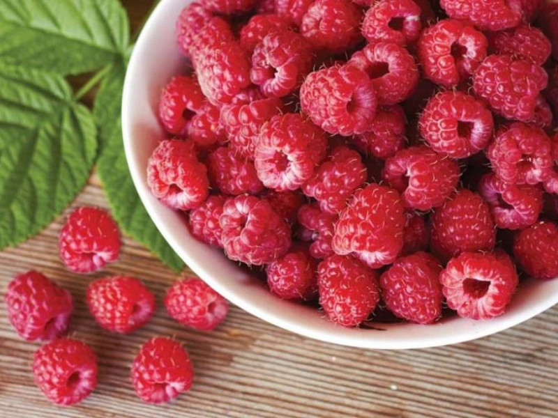 Heritage raspberry, best raspberry varieties for taste