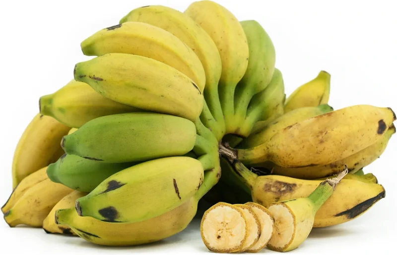 Mysore Banana