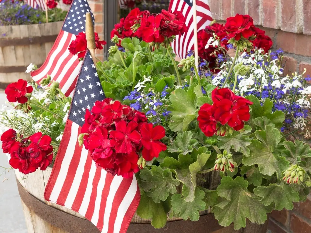 patriotic garden