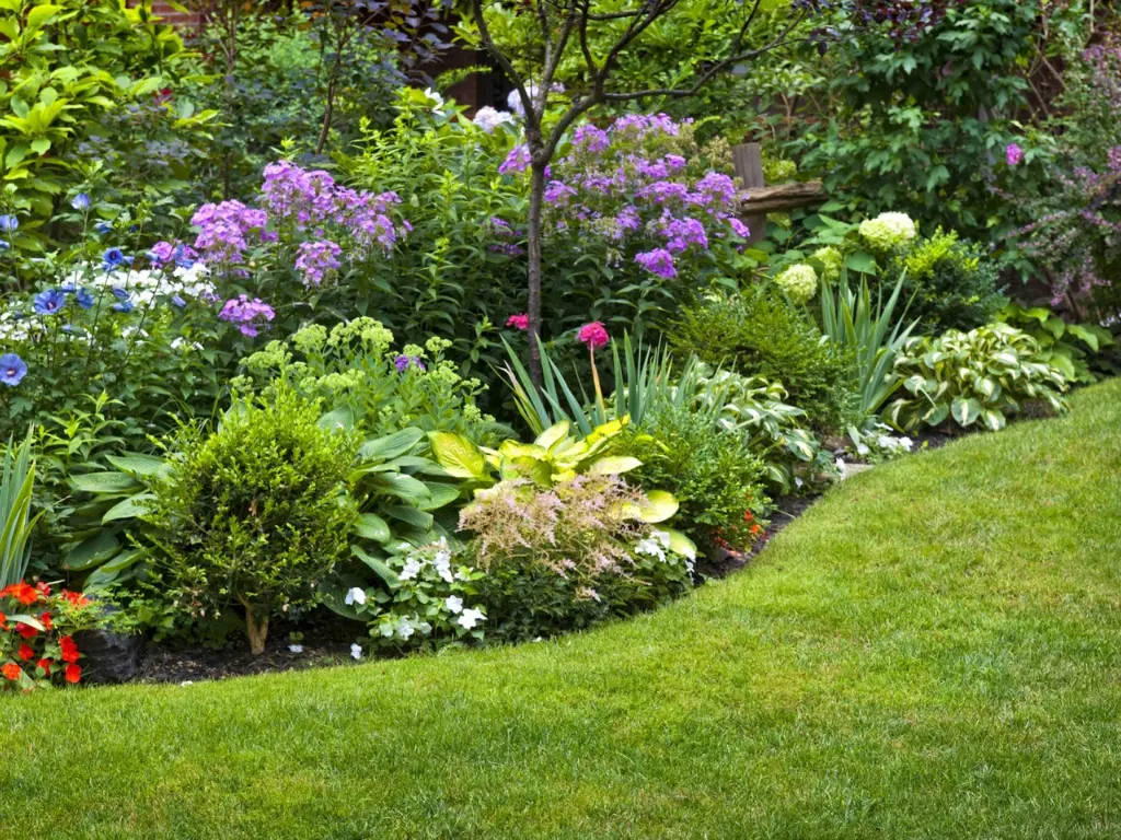 Use Foliage to Add Texture and Contrast to your summer garden with summer garden ideas