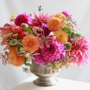 Mixed Dahlias Bareroots Variety Pack - 5 Roots for Stunning Blooms