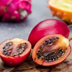 Tamarillo Tomato Tree Plant - 4 to 8 Inch Starter Plant