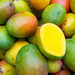 Mango Tree Live Tropical Fruit Seedling Tree 6-9 Inches