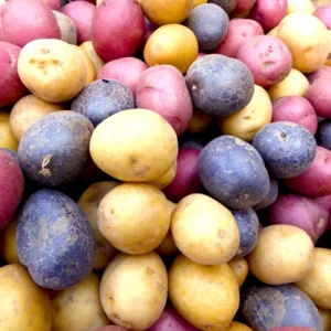 Mixed Potato Cuttings Slips Pack - Assorted Varieties - 15 Count Seed Potatoes