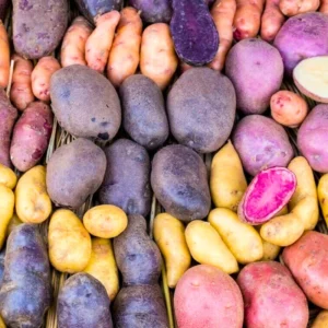 Mixed Potato Cuttings Slips Pack - Assorted Varieties - 15 Count Seed Potatoes