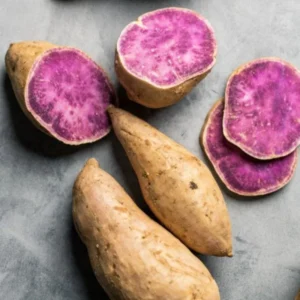 Purple Sweet Potato Plants - 5 Pack - 4-6 Inch Starter Plants