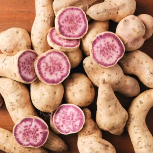 Purple Sweet Potato Plants - 5 Pack - 4-6 Inch Starter Plants