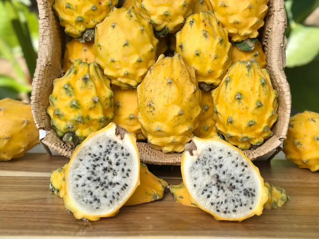 Yellow Dragon fruit with its bright yellow skin and white flesh speckled with tiny black seeds