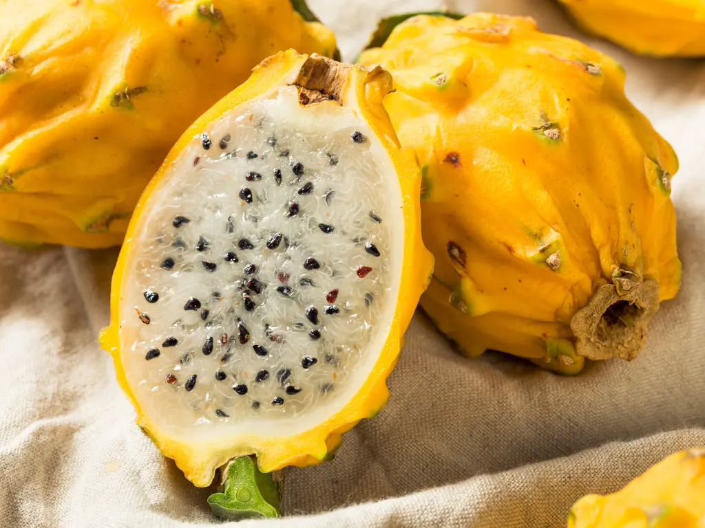 fresh Yellow Dragon Fruit