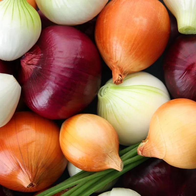 Mix Onion Bulbs - 100 Count Assorted Varieties for Home Gardens