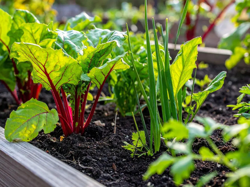 Top 10 Best Vegetables to Plant in October