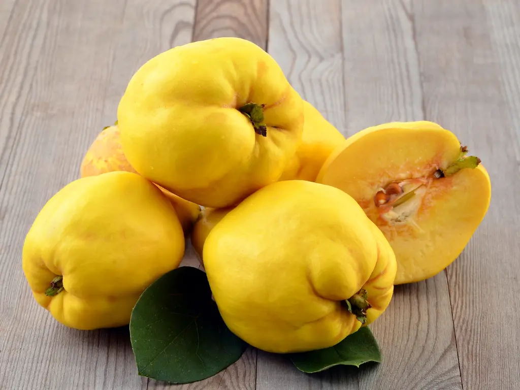 Quince fruits