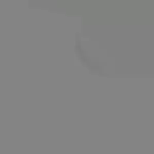 Variegated Hindu Rope – Hoya carnosa 'Compacta' Variegata – Live plant – 4 inch pot – Indoor - Image 8