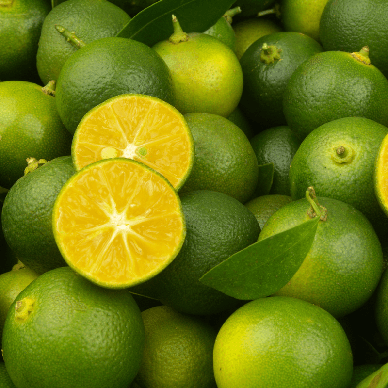 Citrus Plant Live - Fresh Orange Tree for Outdoor and Indoor Growing | Hardy Zones 8-11 No Ship to CA - Image 6