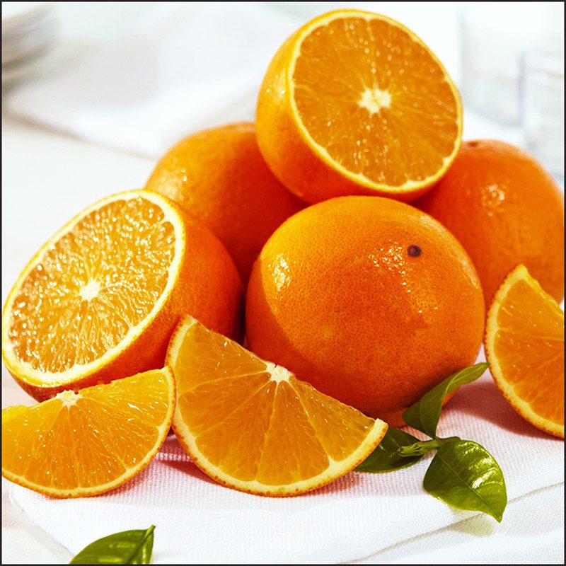 Citrus Plant Live - Fresh Orange Tree for Outdoor and Indoor Growing | Hardy Zones 8-11 No Ship to CA - Image 2