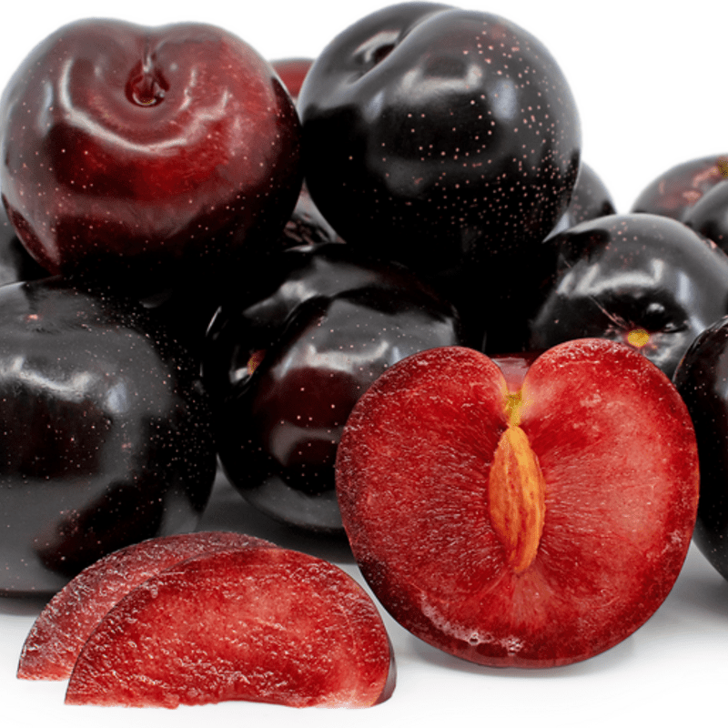 Plum Fruit Tree - Large Sizes - Sweet Juicy Plums for Home Orchards | Hardy in Zones 4-9 - Image 2